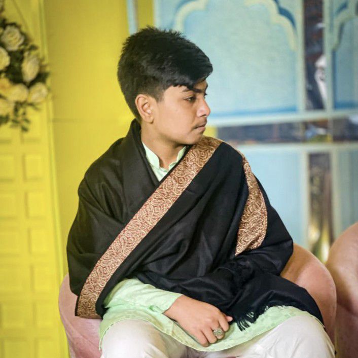 IBNUR HOSSAIN AYON